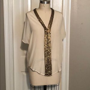 Silk V neck top with gold sequin details.